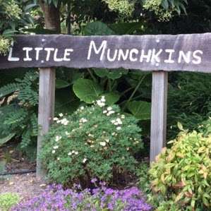 Photo: Little Munchkins Pre-School & Day Care